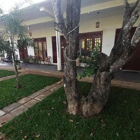 Sigiriya Green Garden Homestay Εξωτερικό φωτογραφία