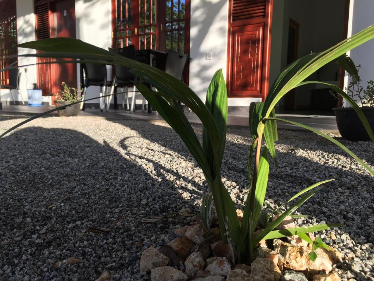 Sigiriya Green Garden Homestay Εξωτερικό φωτογραφία