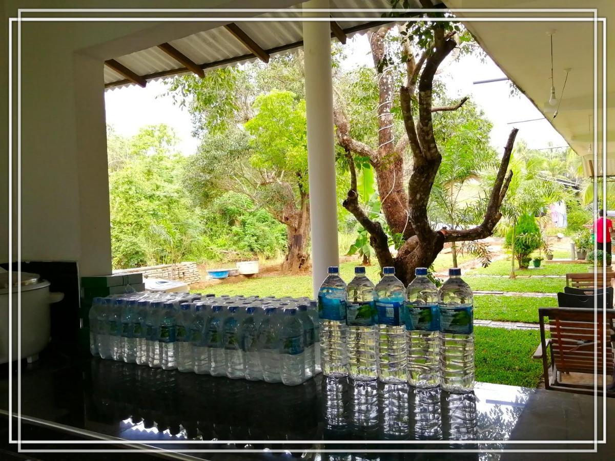 Sigiriya Green Garden Homestay Εξωτερικό φωτογραφία