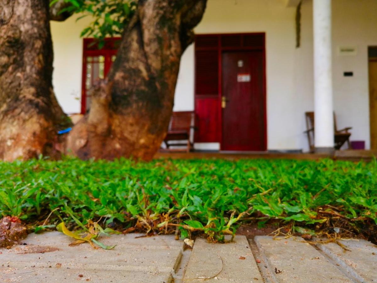 Sigiriya Green Garden Homestay Εξωτερικό φωτογραφία